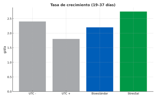 ST 1 ES