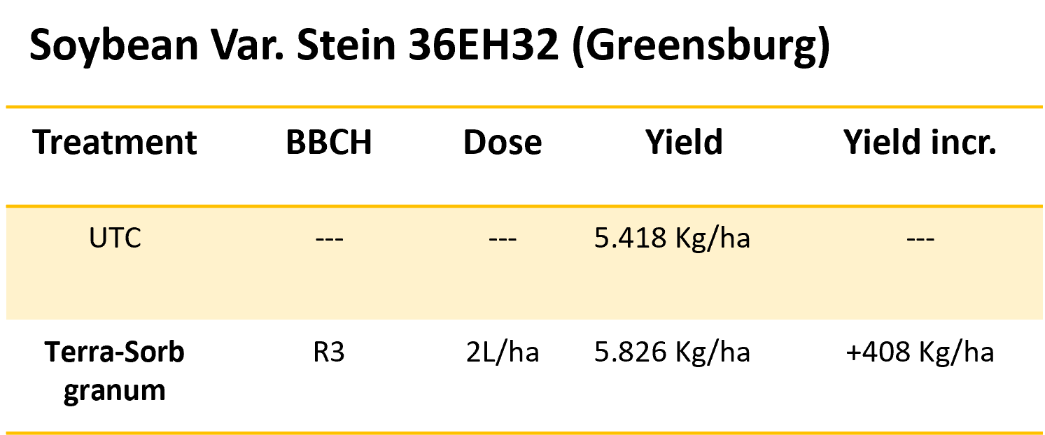 soybean 1