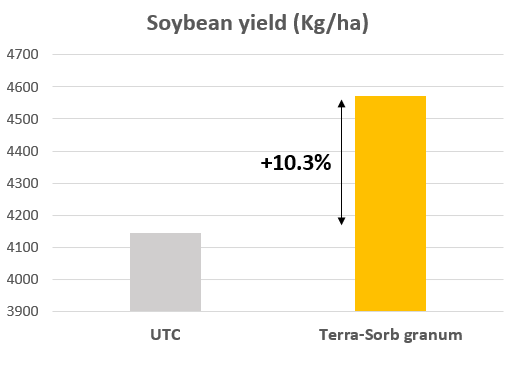 soybean 4