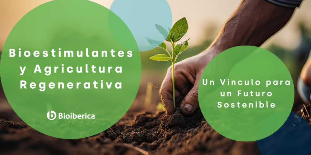 Bioestimulantes y Agricultura Regenerativa: Un Vínculo para un Futuro Sostenible Bioestimulantes y Agricultura Regenerativa: Un Vínculo para un Futuro Sostenible
