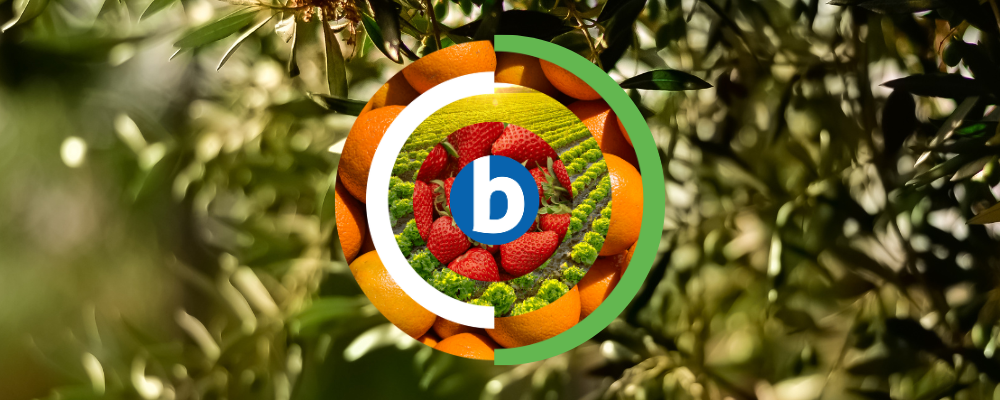 Nueva solución de Bioiberica para el olivar en años de incertidumbre Nueva solución de Bioiberica para el olivar en años de incertidumbre