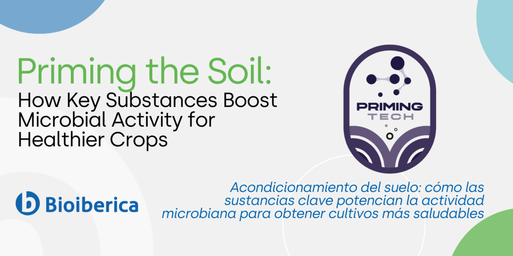 Acondicionamiento del suelo: cómo las sustancias clave potencian la actividad microbiana para obtener cultivos más saludables Acondicionamiento del suelo: cómo las sustancias clave potencian la actividad microbiana para obtener cultivos más saludables