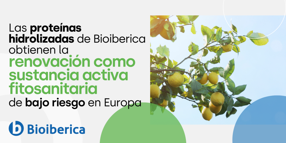 Las Proteínas Hidrolizadas de Bioiberica obtienen la renovación como sustancia activa fitosanitaria de bajo riesgo en Europa Las Proteínas Hidrolizadas de Bioiberica obtienen la renovación como sustancia activa fitosanitaria de bajo riesgo en Europa