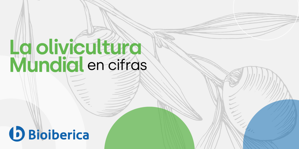 La Olivicultura Mundial en Cifras La Olivicultura Mundial en Cifras