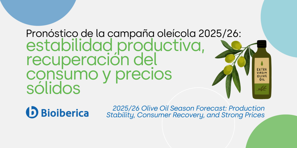 2025/26 Olive Oil Season Forecast: Production Stability, Consumer Recovery, and Strong Prices