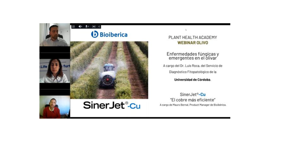 Plant Health Academy: Enfermedades fúngicas y emergentes en el olivar Plant Health Academy: Enfermedades fúngicas y emergentes en el olivar