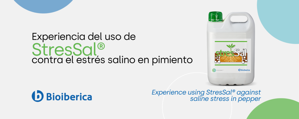 Mejora del rendimiento del pimiento bajo estrés salino con StresSal®