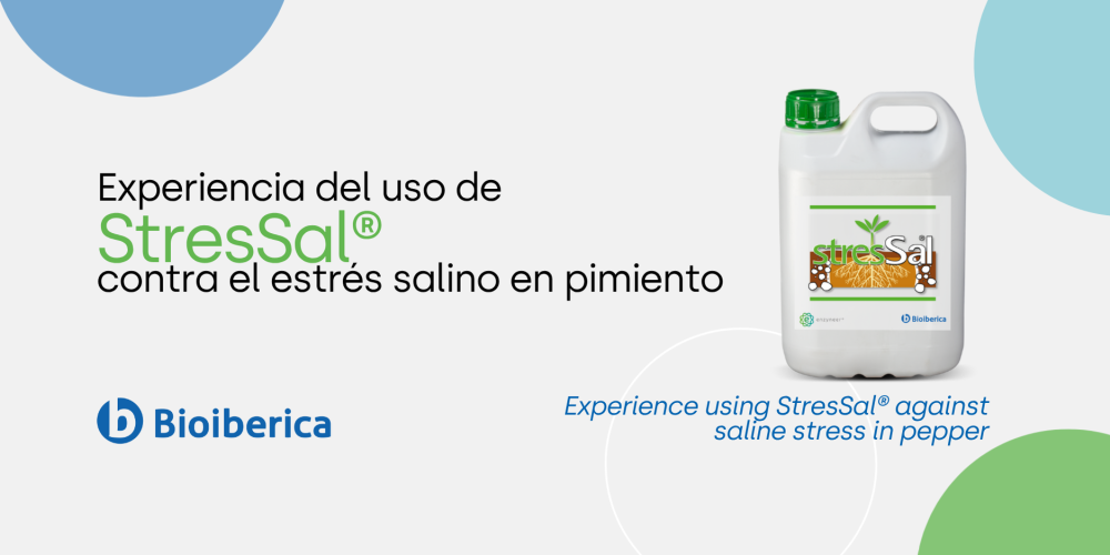Mejora del rendimiento del pimiento bajo estrés salino con StresSal®