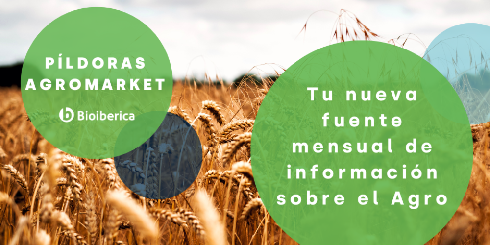 Descubre "Píldoras AgroMarket": Tu nueva fuente mensual de información sobre el Agro Descubre