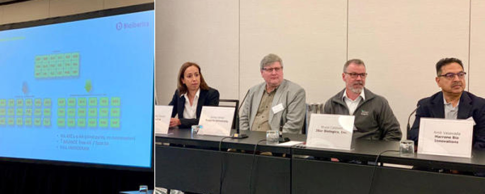 Bioibérica - Plant Health expone las ventajas de los aminoácidos en el US Biostimulants Summit 2019 Bioibérica - Plant Health expone las ventajas de los aminoácidos en el US Biostimulants Summit 2019