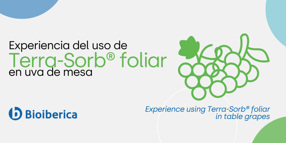 Experiencia del uso de Terra-Sorb® foliar en uva de mesa