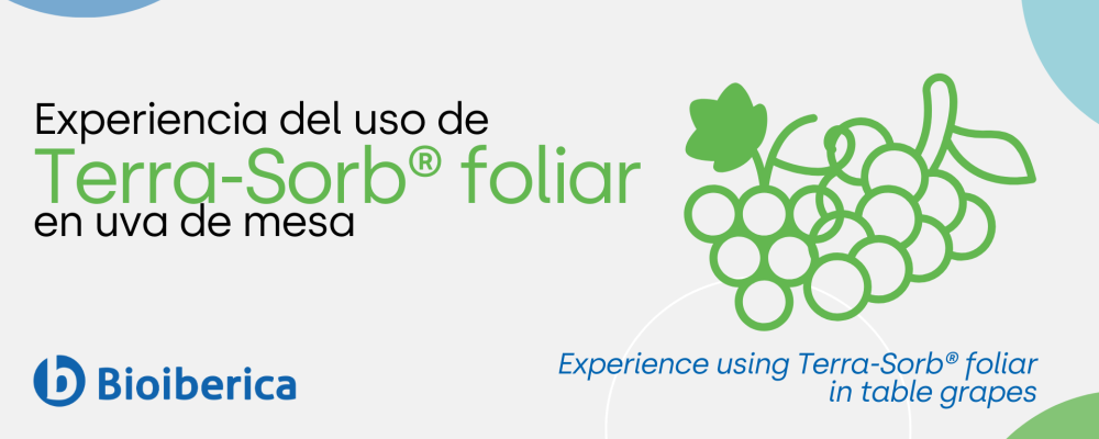 Experiencia del uso de Terra-Sorb® foliar en uva de mesa